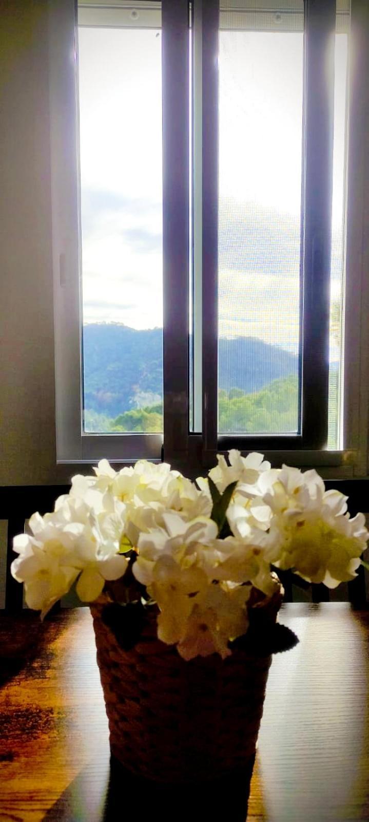 Apartamento En La Montana, Serra المظهر الخارجي الصورة